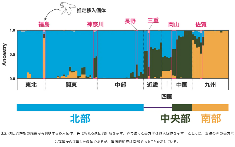 デレゲイツが再び tweet media