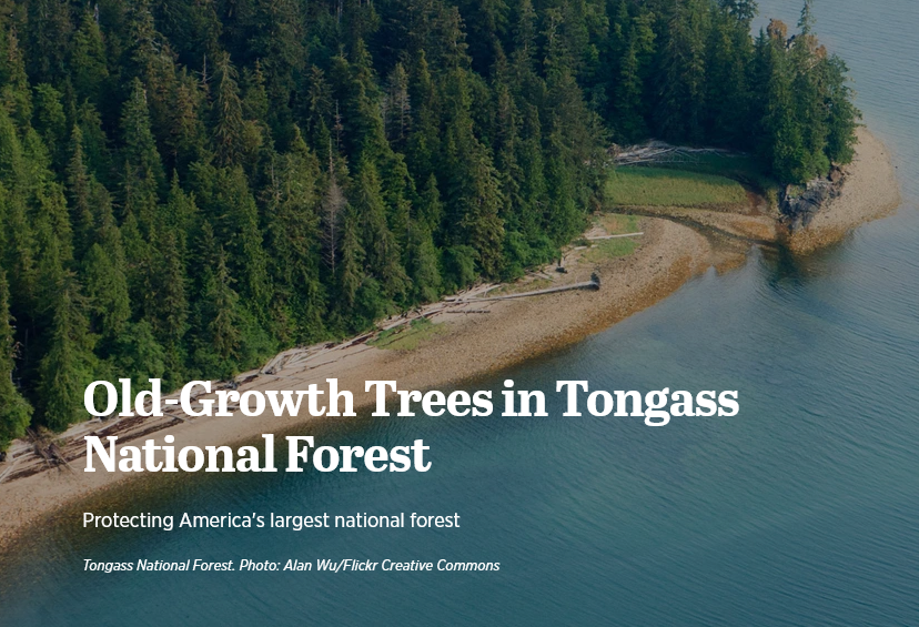 GO GREEN tweet media