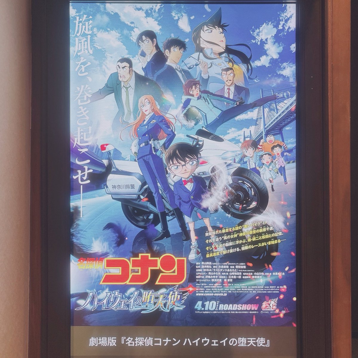 せりなっぱ tweet media