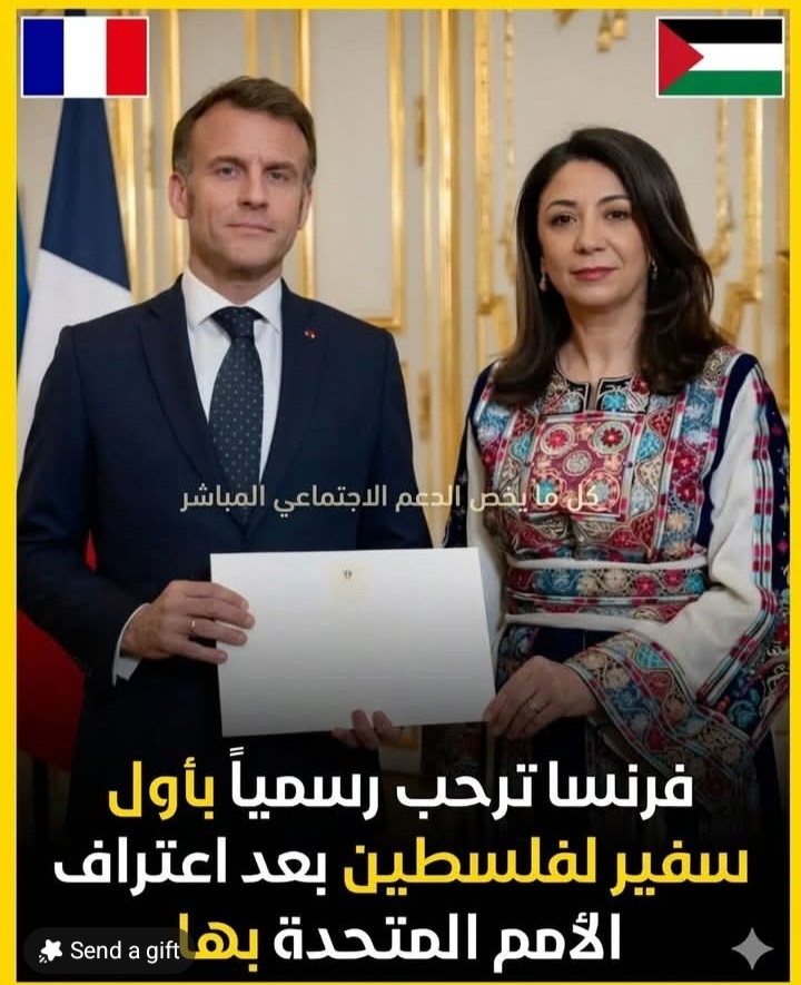 Hany Masry tweet media