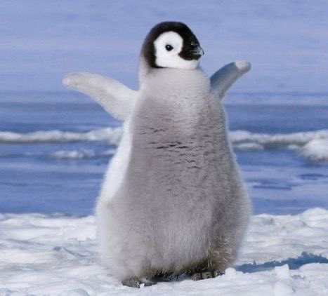 ꒰ goto ꒱ tweet media