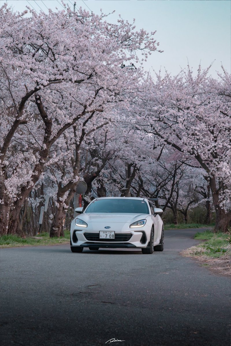 .swallow tweet media