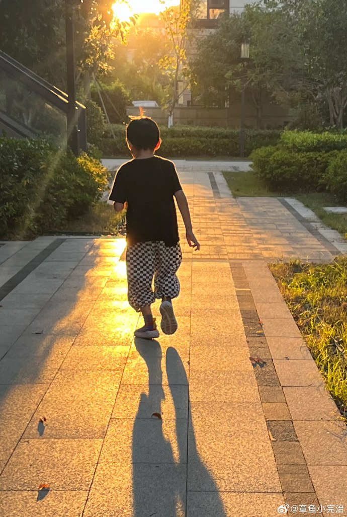 kolli hari babu tweet media