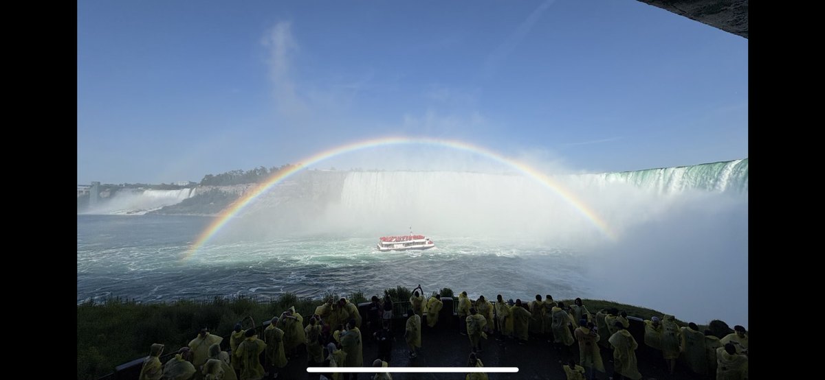 john murphy tweet media