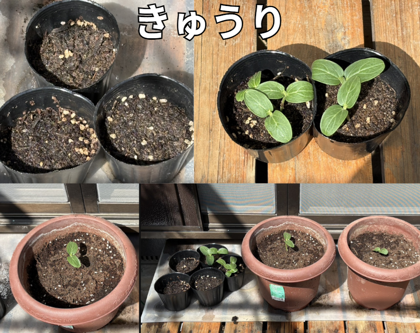 オウザ|60歳退職のリアル tweet media