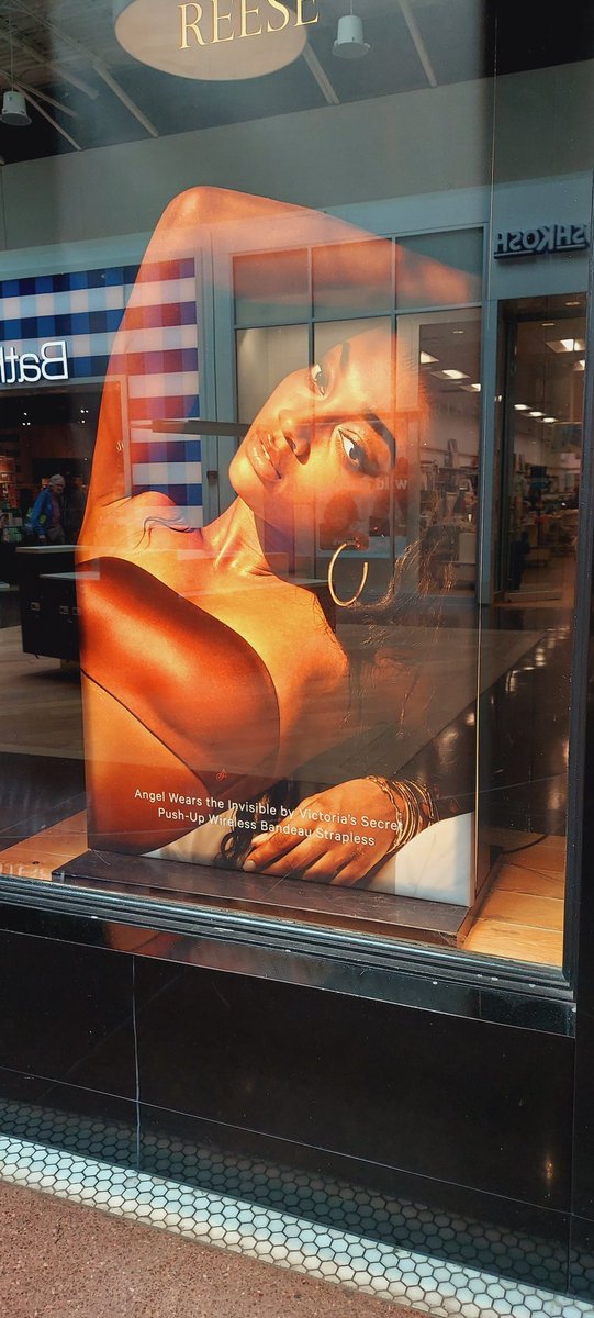 AVłⱤ X 🐻 🦬 𝖘𝖔𝖝 💙💛 tweet media