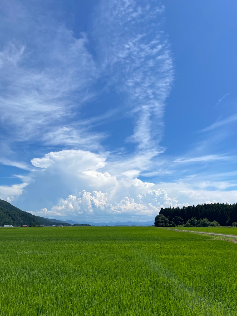 Lecty Ra tweet media