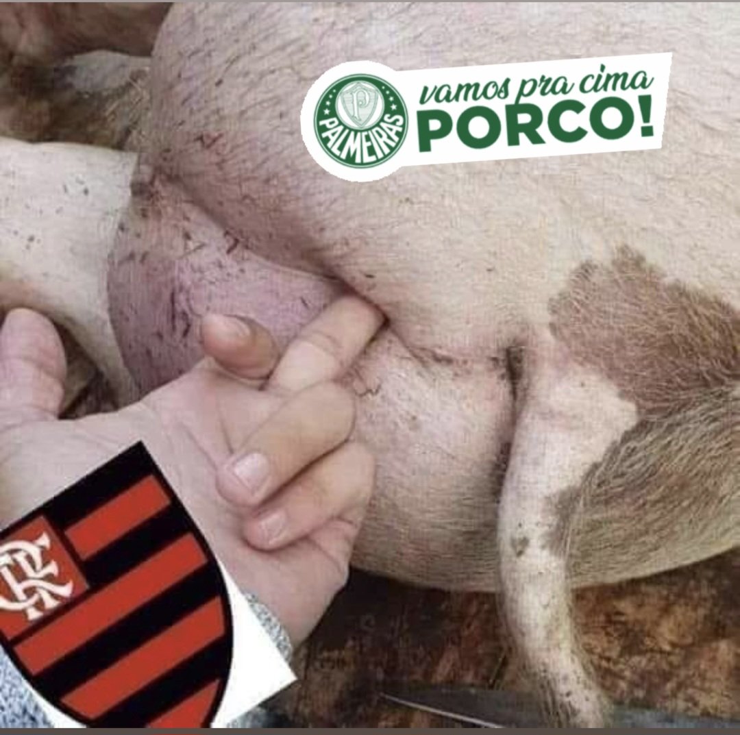 Alex Fla🔴⚫🇧🇷 tweet media