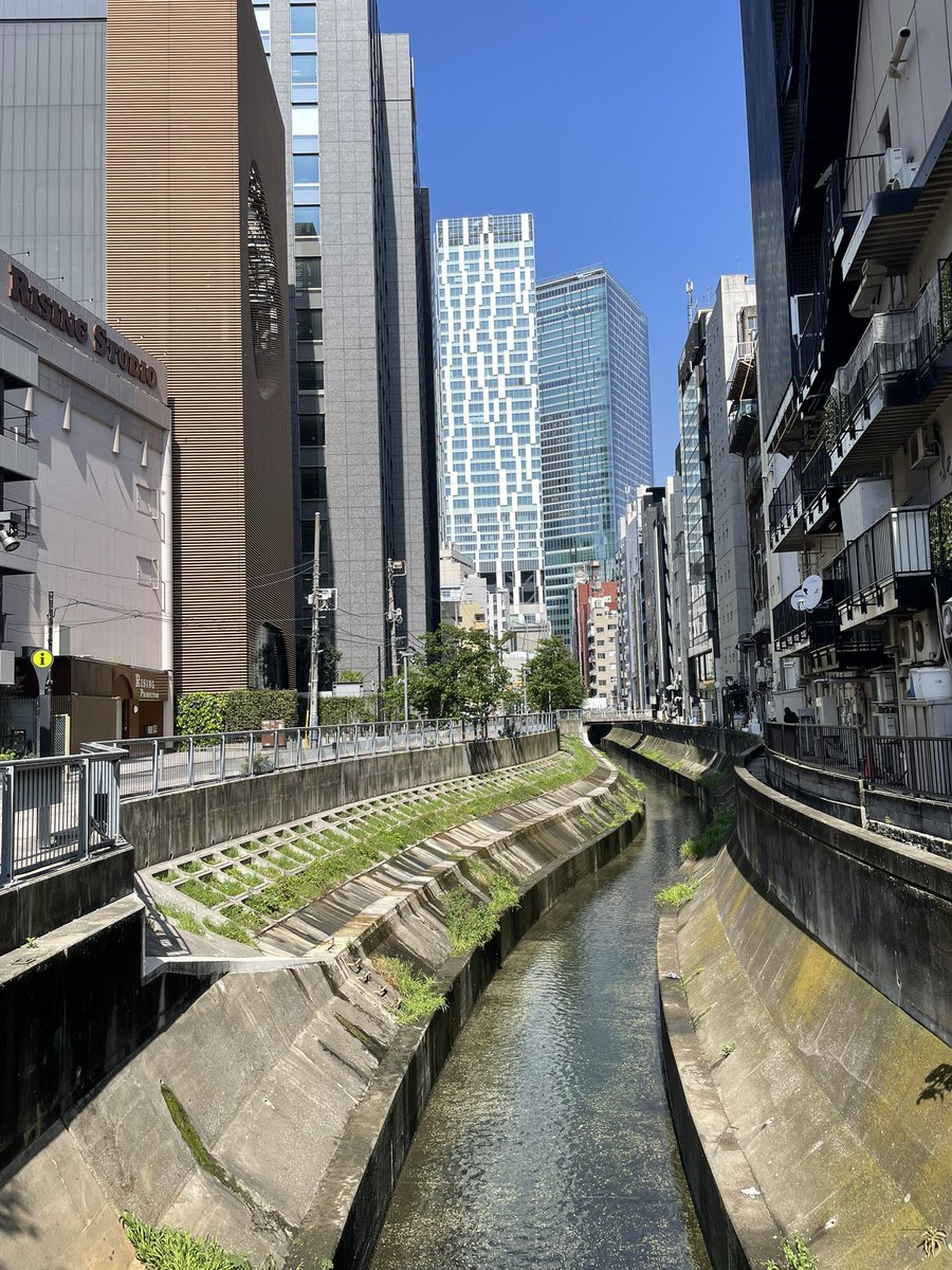 金大地（金属恵比須） tweet media