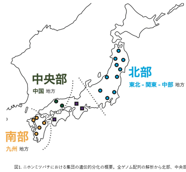 デレゲイツが再び tweet media