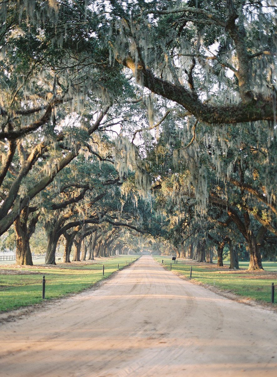 ExploreCHS's tweet photo. Charmed by Charleston? Cast your vote for the Holy City in @CNTraveler's 2026 Readers' Choice Awards: https://t.co/C2BDSMjp8s https://t.co/LU6EWC0Vw1