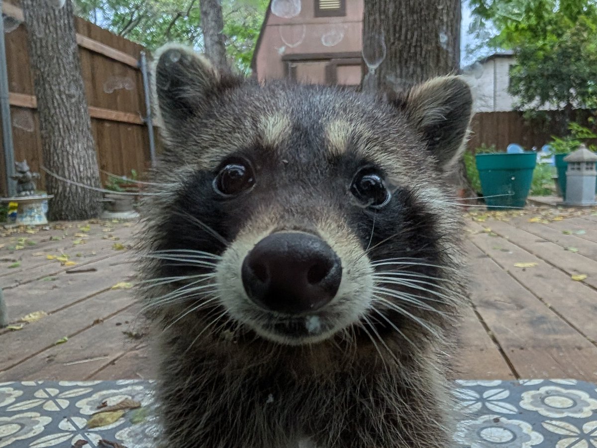 Jim Foronda tweet media