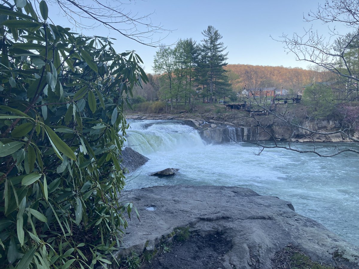 .kil #quietisviolent tweet media