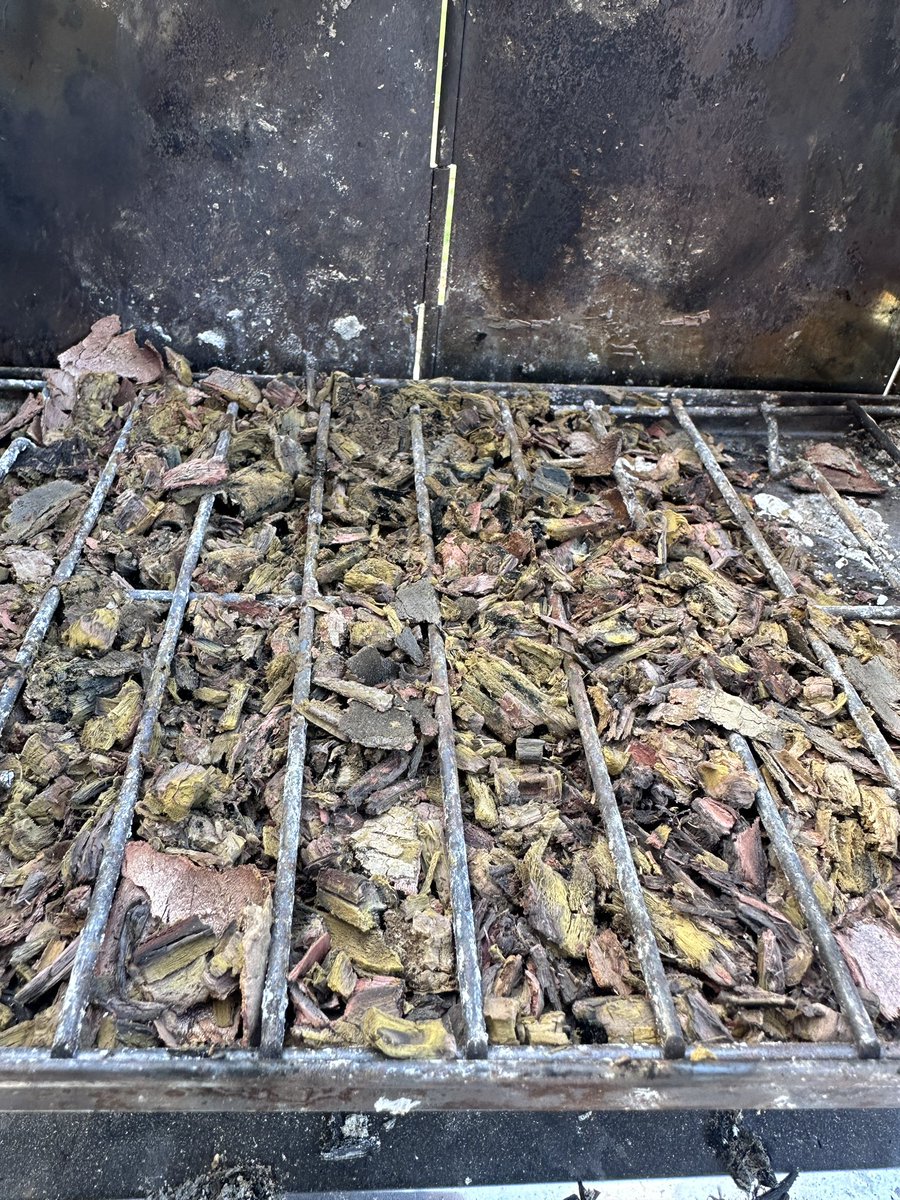 ゆういち(旧:干された鯛) tweet media