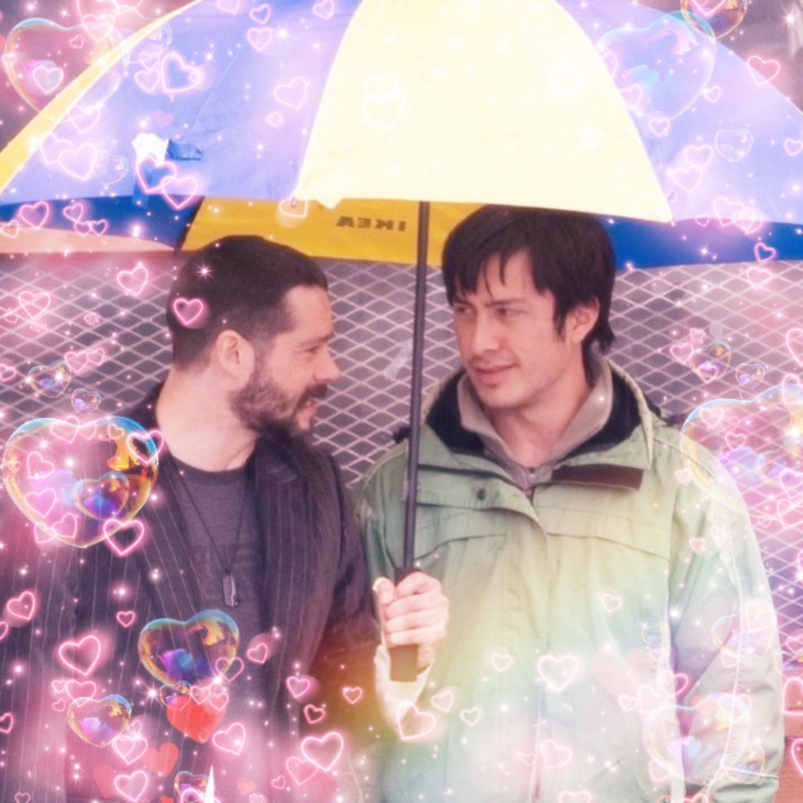 steffy 🐠 tweet media