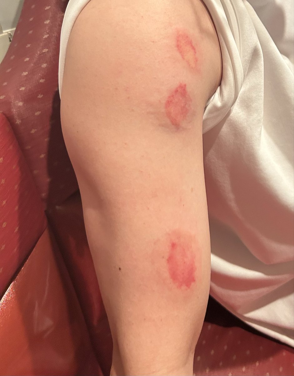 永野ななの彼女 tweet media