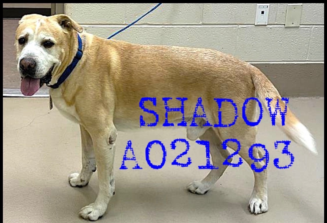 Fionaismybitch tweet media