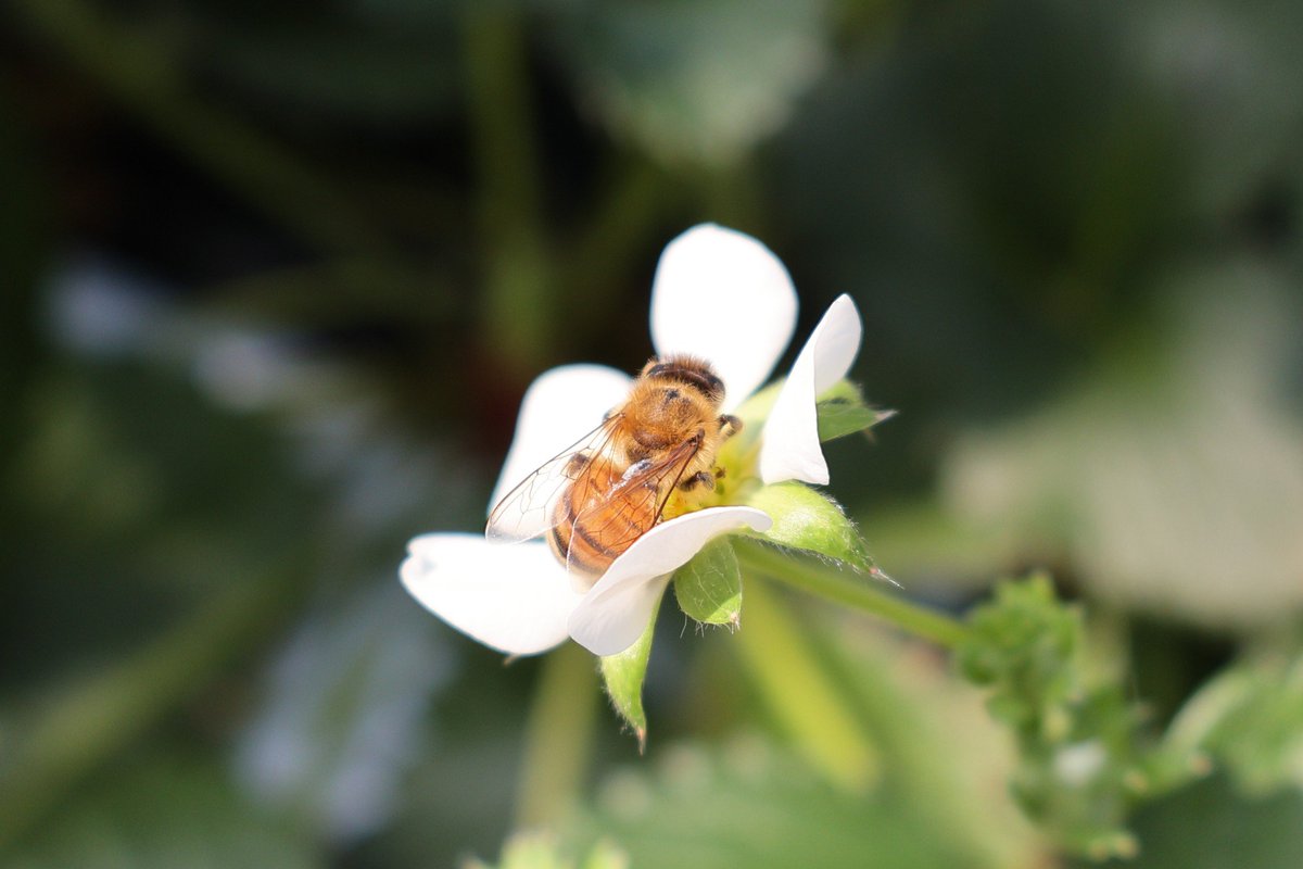 \ゆ♪/ tweet media