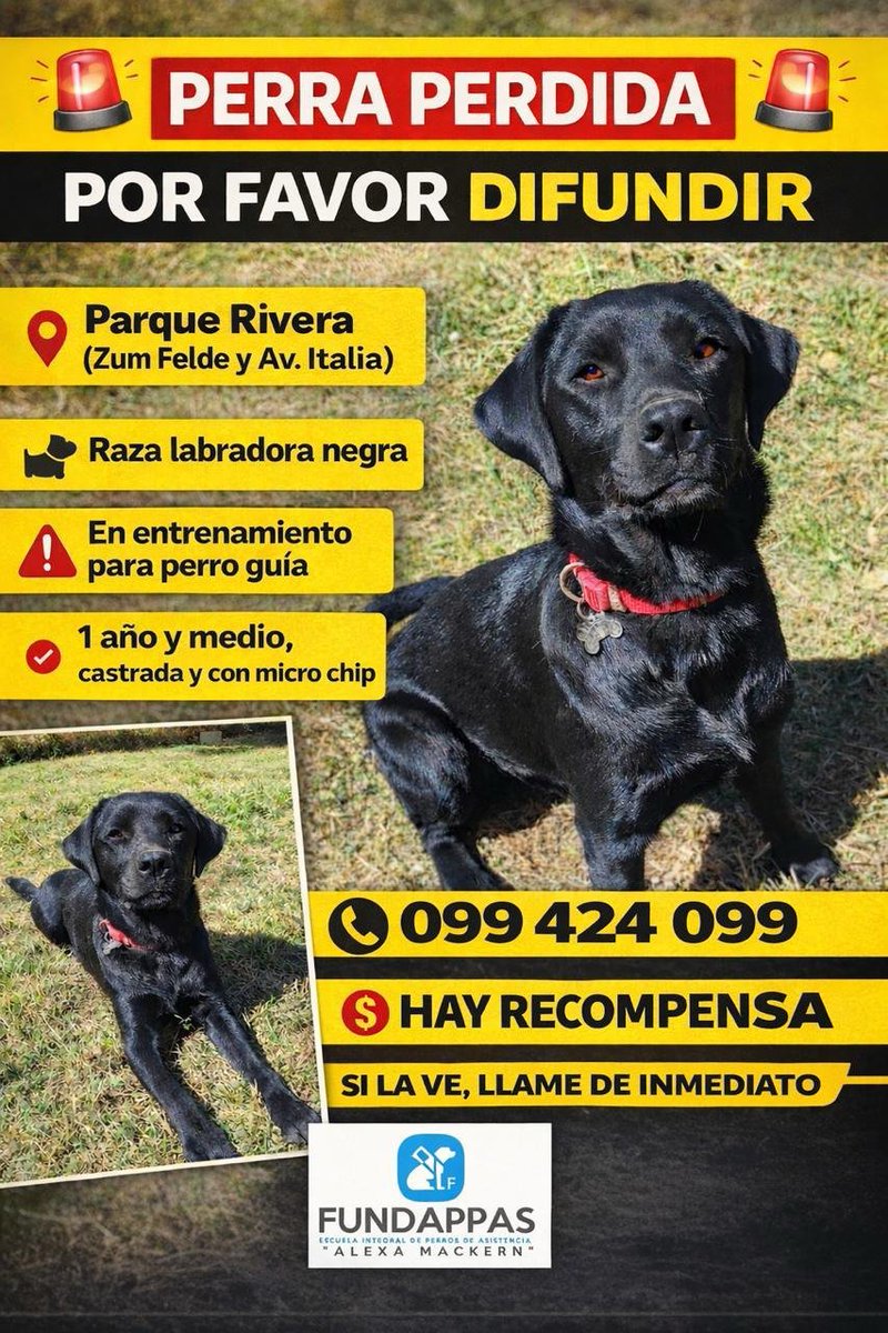 Eduardo Preve tweet media