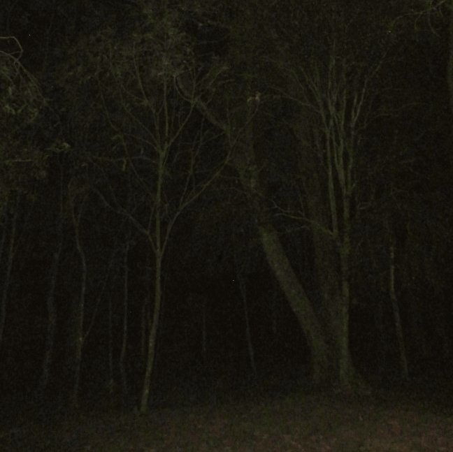 freelancer de alma penada local