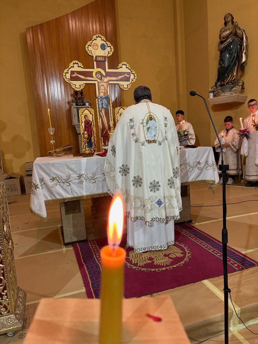 ROSA MARIA IBARRA /❤️ tweet media