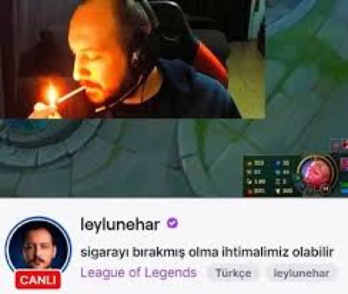çelikzın tweet media