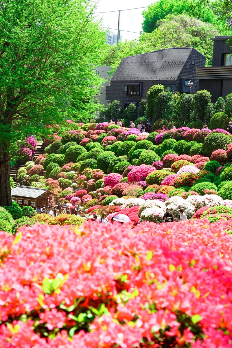 じゅっけんカッパのコタロウ【公式なのに1回ロック🤘】 tweet media