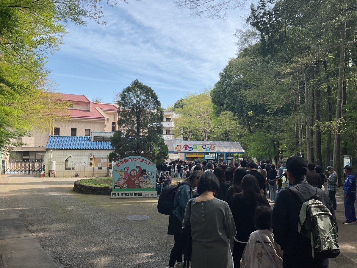 市川市動植物園（公式） tweet media