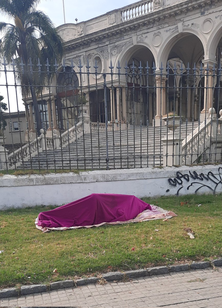 Judith Quartino tweet media