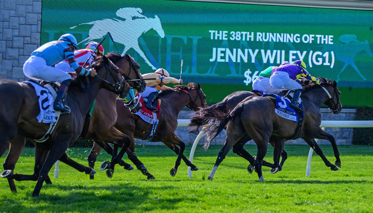 BH_AEberhardt's tweet photo. #DEADHEAT in the G1T #JennyWiley at @keenelandracing as #ExpensiveQueen with @luissaezpty and #Segesta with Flavien Prat finish together. #FarfellowFarms @JuddmonteFarms @brenpwalsh #ChadBrown #LoveKeeneland Deadheat image by @CurlinBandwagon #TeamBloodHorse #horsepower https://t.co/zCiY8LMIE2