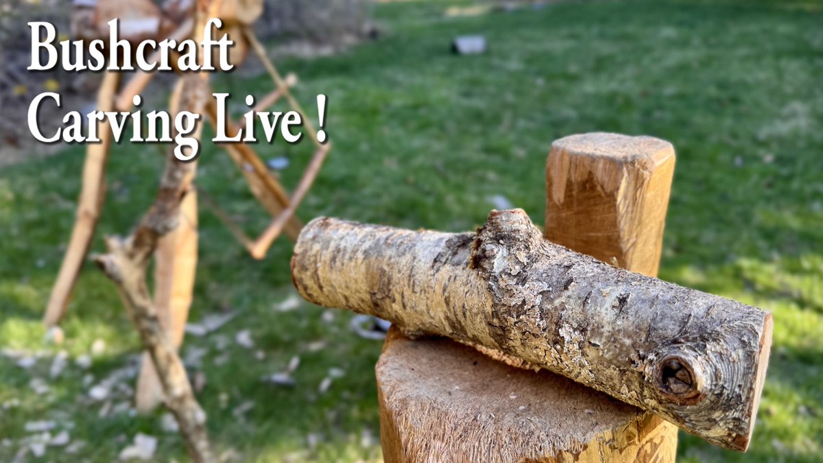 宗とうちゃんネルMune Touchan-nel tweet media