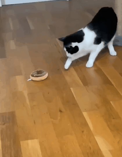 Shehryar aleem tweet media