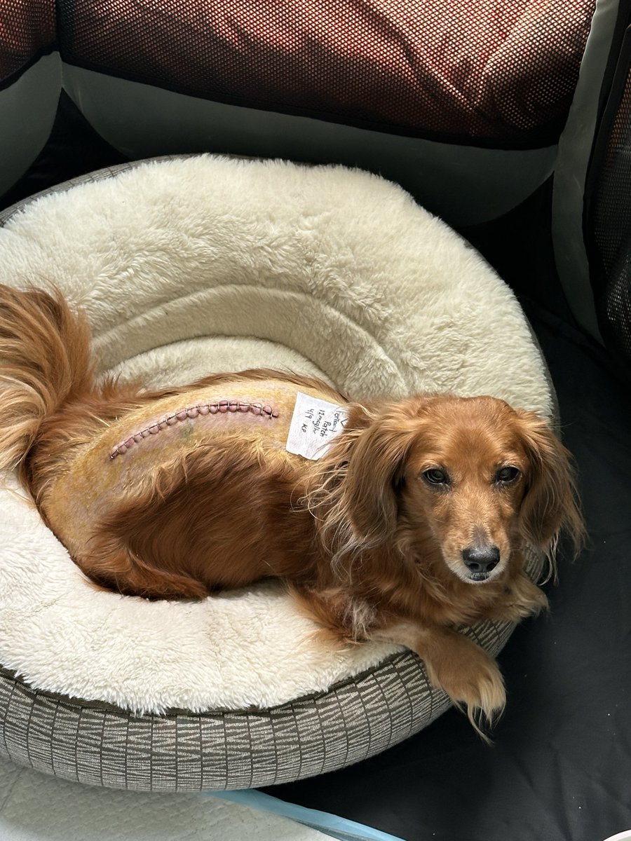 🏴‍☠️C R E E P 🏴‍☠️🔞 tweet media