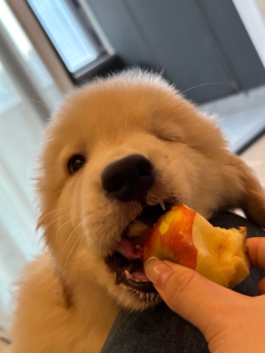 Ayza Lwn tweet media