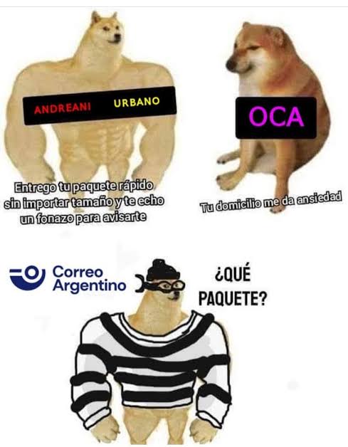 Harry Postre ⚡️ tweet media