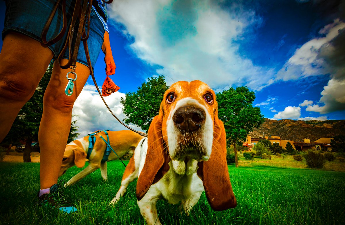 chip simons tweet media