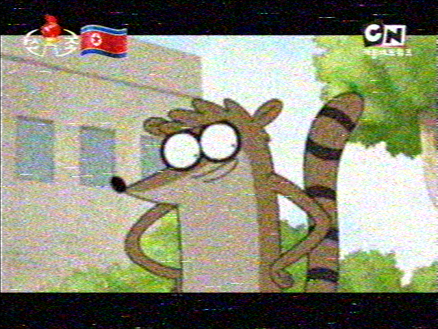 ArtieRaccoonReviews tweet media