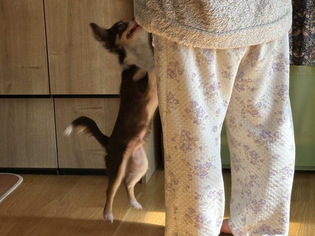 けぃ汰@5/24(日) 大九州合同祭 小倉 tweet media