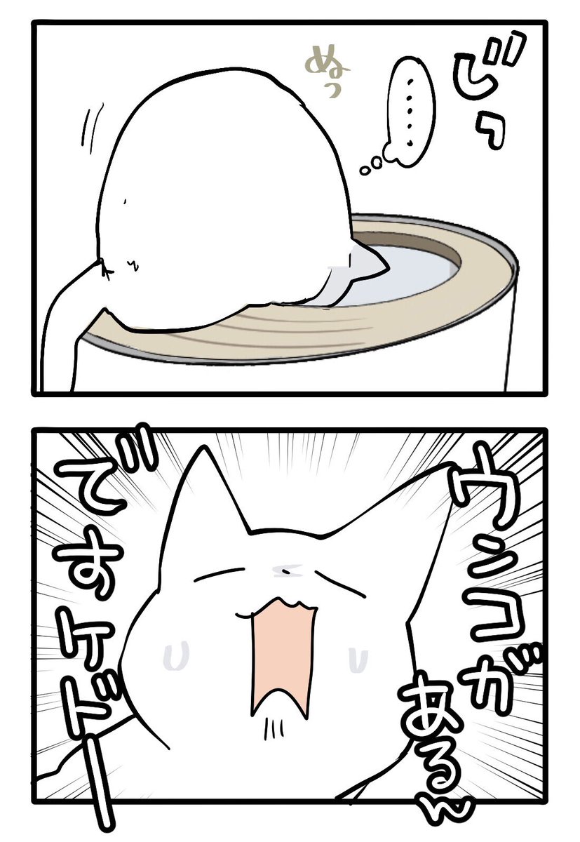 くらら🐾🐾猫漫画 tweet media