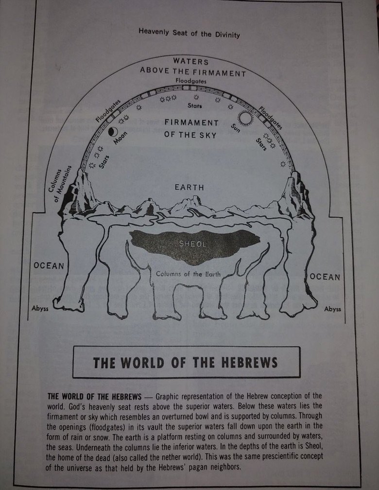 Susfishious1 tweet media