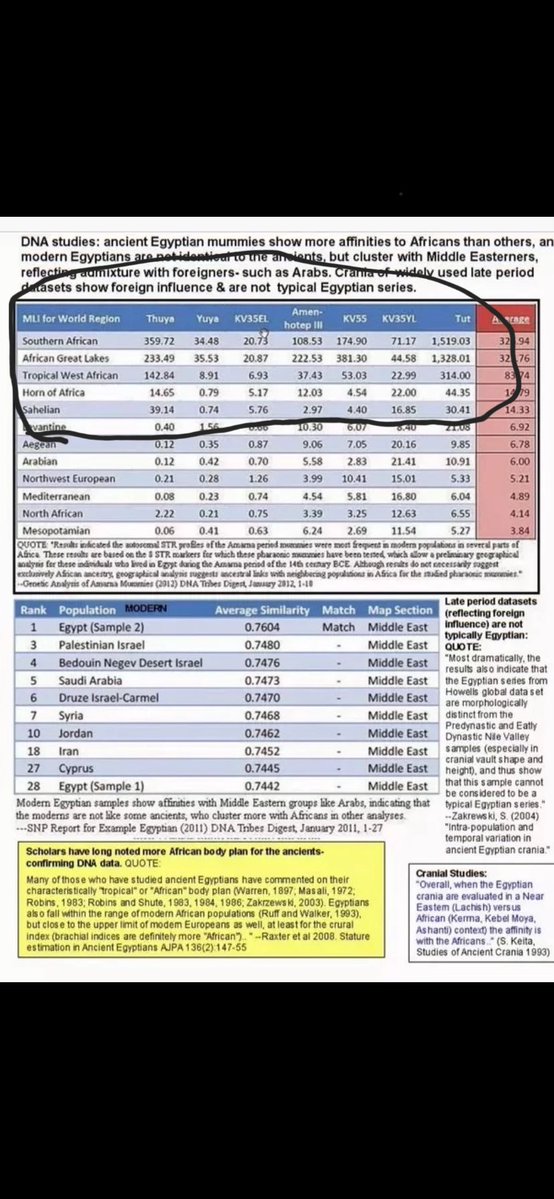 Meta☯️⚛️ tweet media