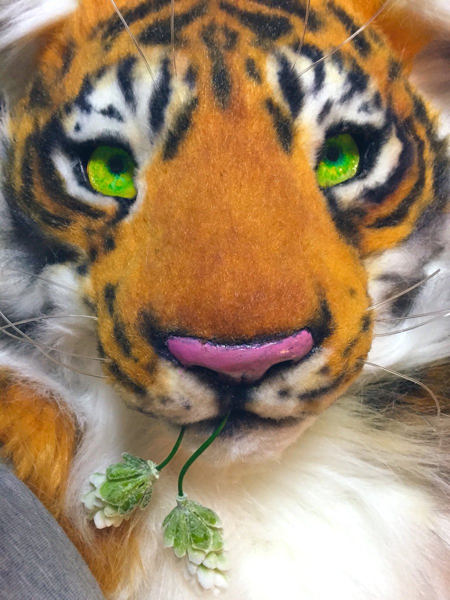 ﾉｲｼﾞ tweet media