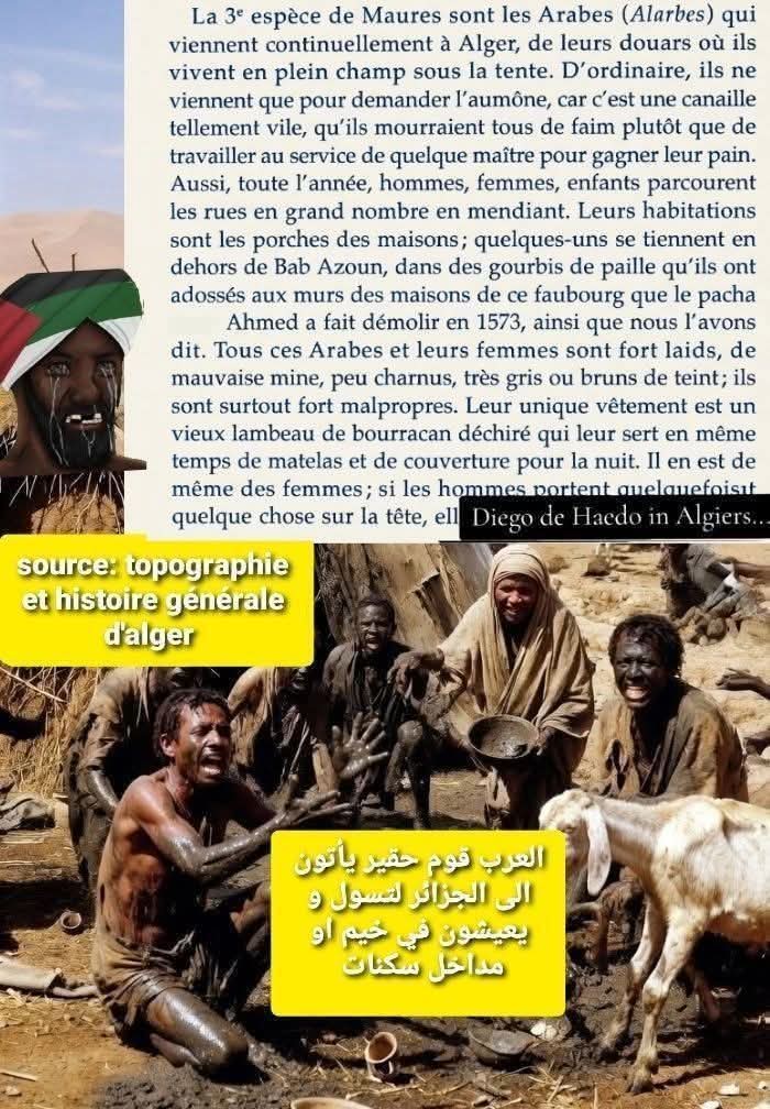 Tachfine Almoravid tweet media