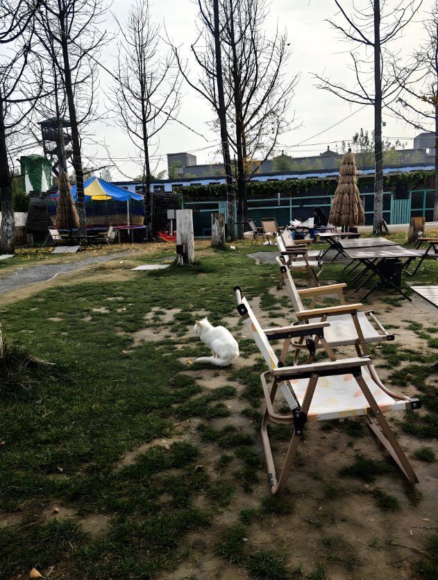 Muhammad Bilal Khan tweet media