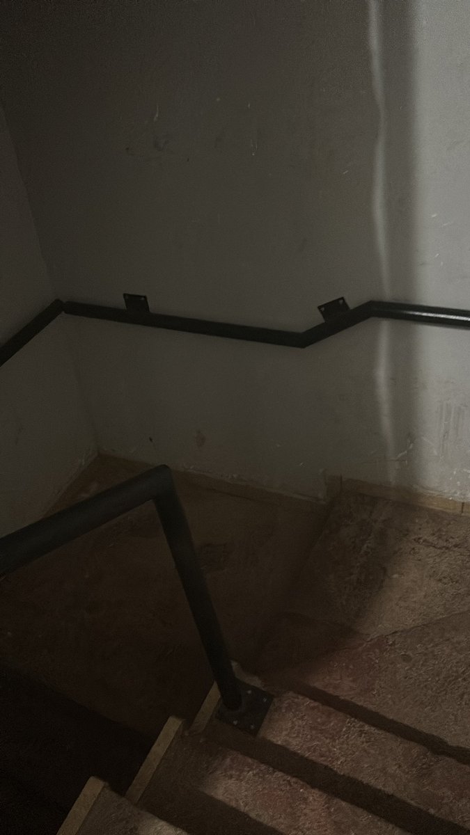 stherzinha tweet media