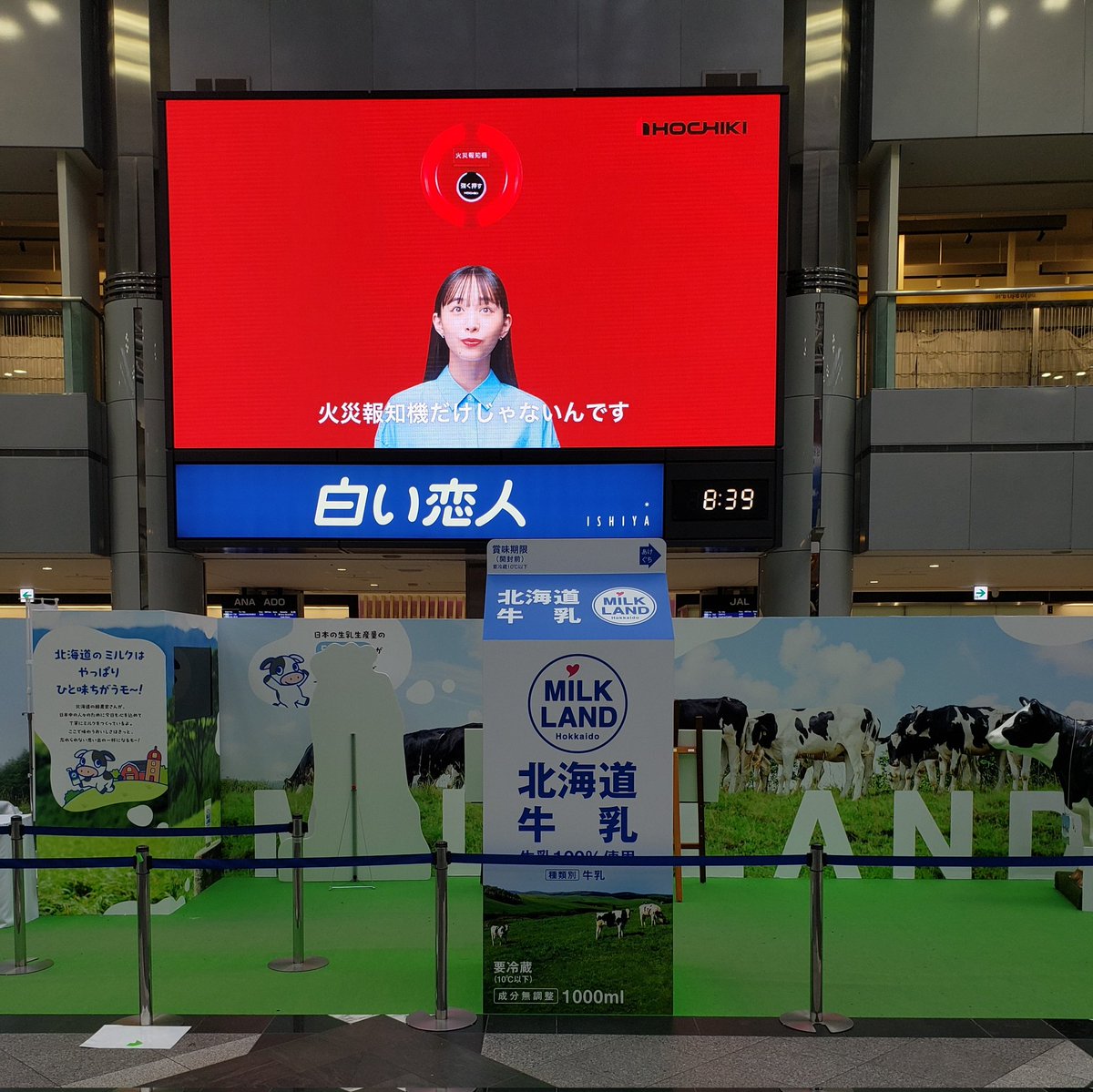 かっち　～北の大地から～ tweet media