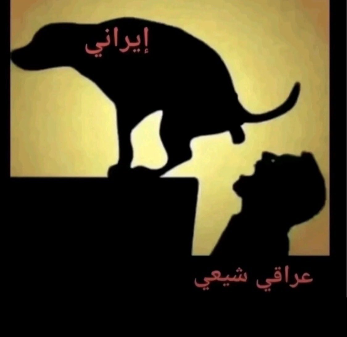 Better Call Me⚖️ tweet media