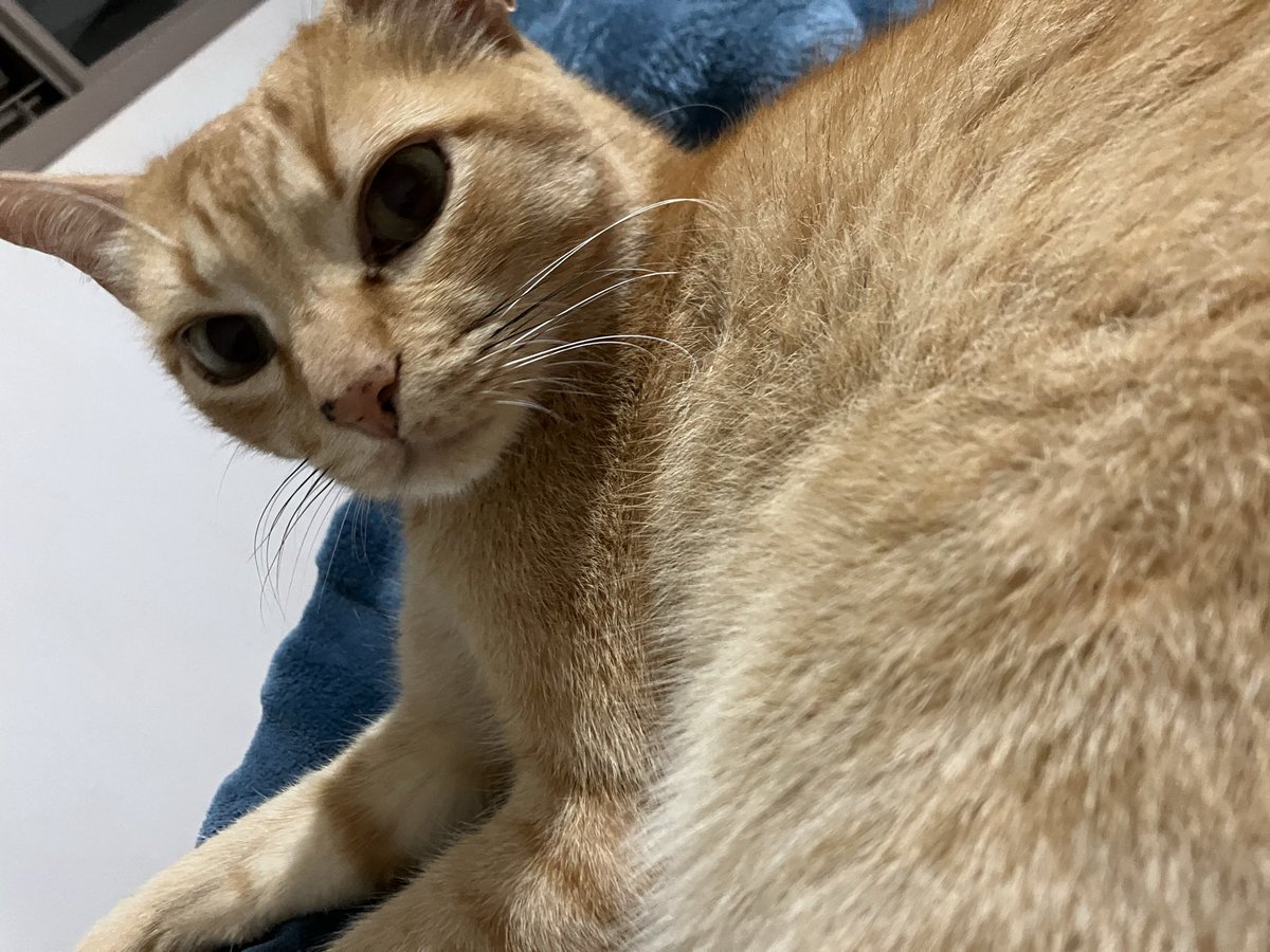 🦉Renata💭🗯️💬 tweet media