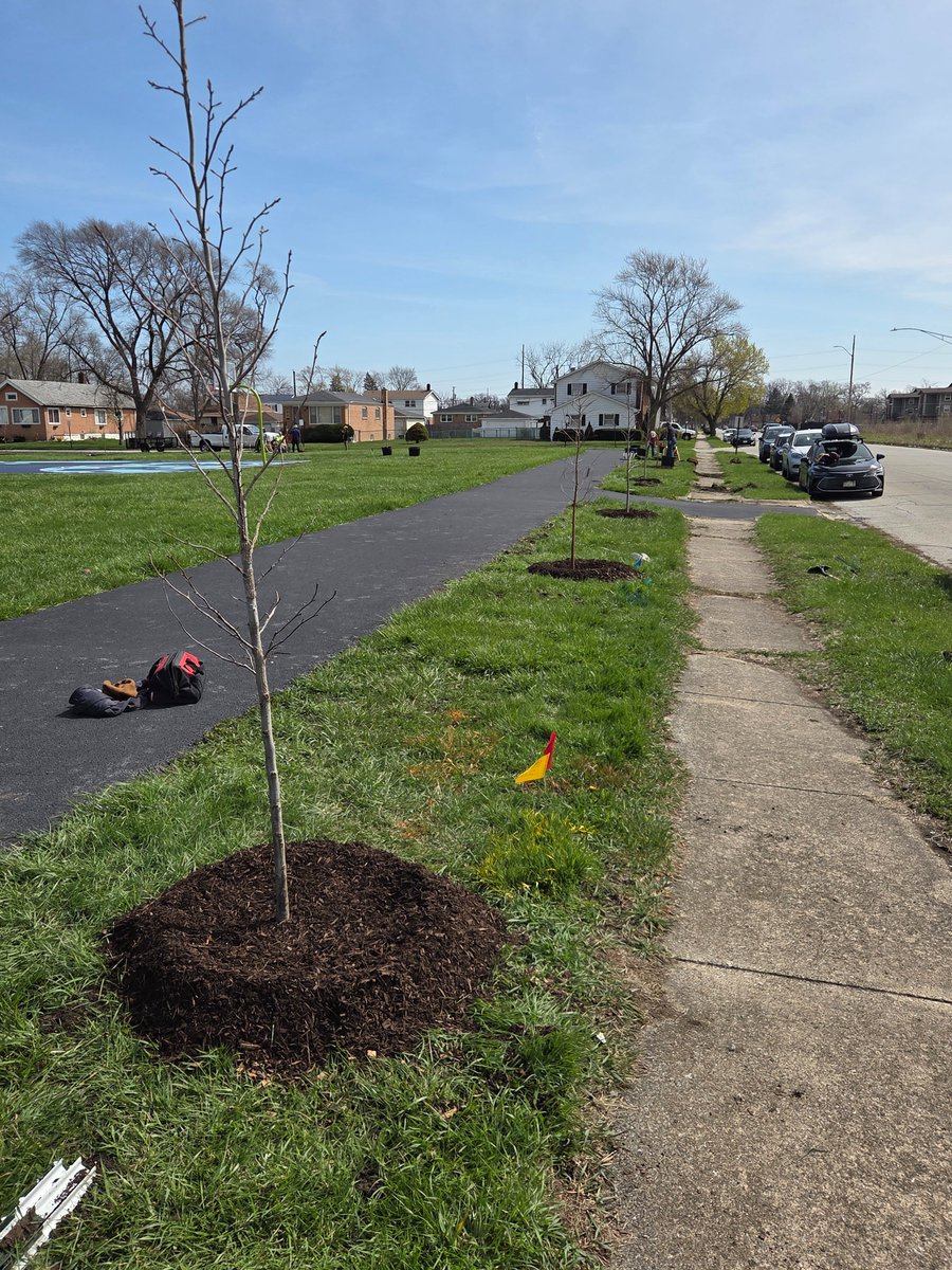 ChiOuterbelt's tweet photo. Congratulations to @teamtransform_  Harvey Conservation Corps team for an amazing tree planting today in Harvey. Can't wait to see more. https://t.co/Z4xIryvzL9