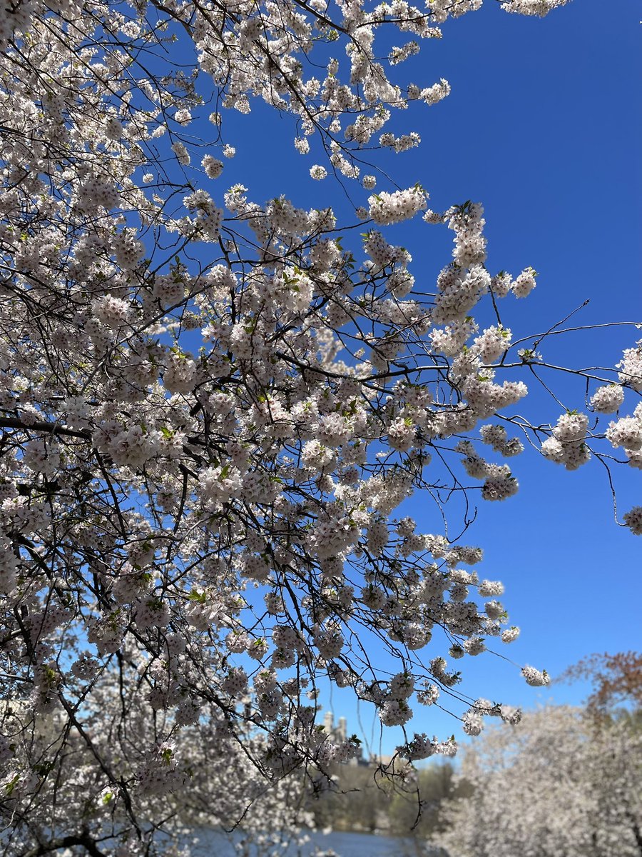 #1 Kaya Fan tweet media